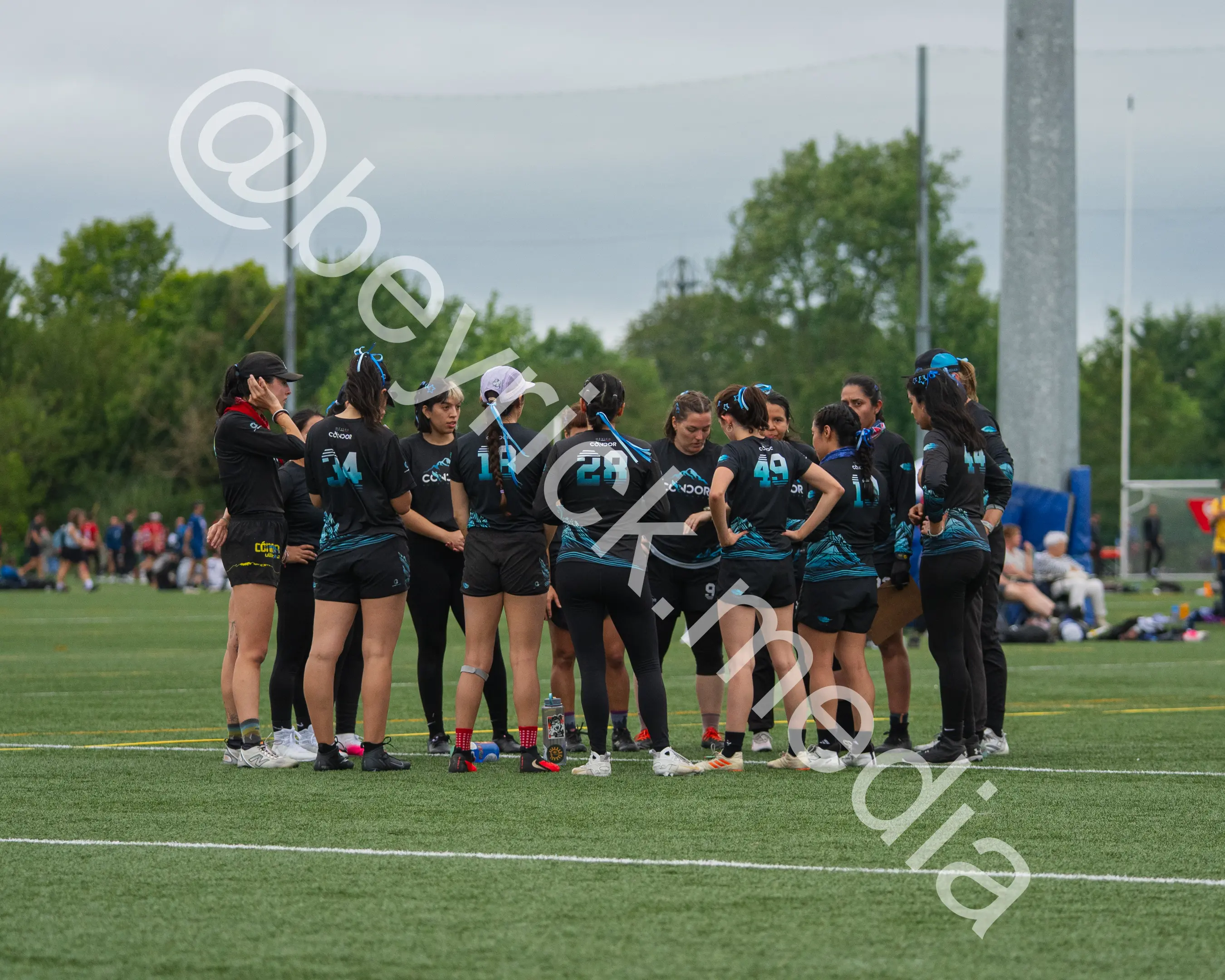 Condor — con_wucc26-16.jpg
